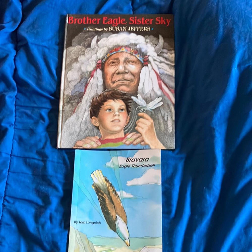Brother Eagle, Sister Sky Book